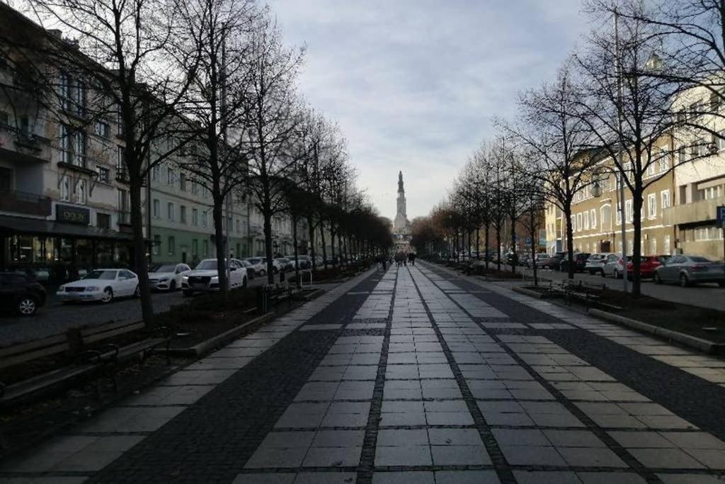Apartament Lucy - Scisle Centrum Czestochowy 琴斯托霍瓦 外观 照片